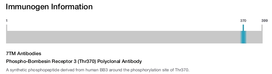 Phospho-Bombesin Receptor 3 (Thr370) Polyclonal Antibody
