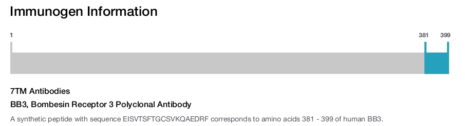 BB3, Bombesin Receptor 3 Polyclonal Antibody