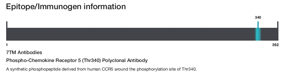 Phospho-Chemokine Receptor 5 (Thr340) Polyclonal Antibody