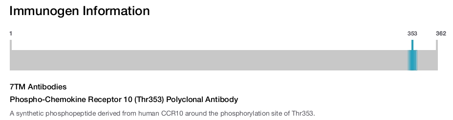 Phospho-Chemokine Receptor 10 (Thr353) Polyclonal Antibody