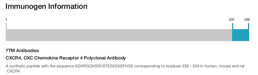 CXCR4, CXC Chemokine Receptor 4 Polyclonal Antibody