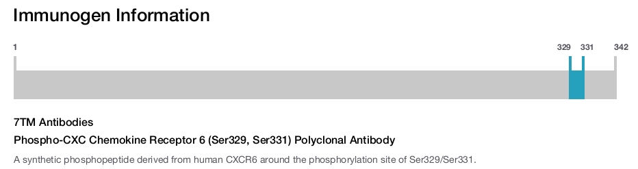 Phospho-CXC Chemokine Receptor 6 (Ser329, Ser331) Polyclonal Antibody