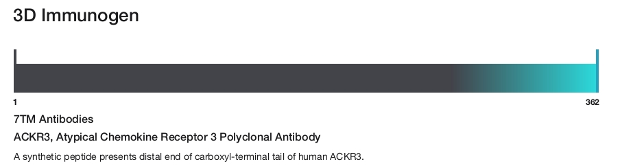 ACKR3, Atypical Chemokine Receptor 3 Polyclonal Antibody