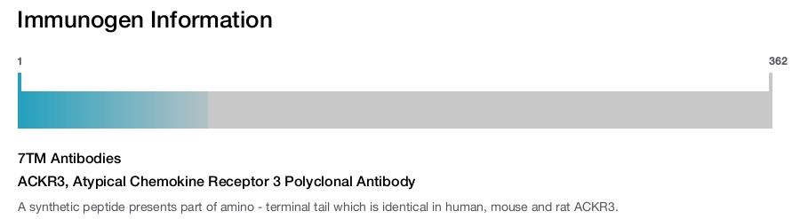 ACKR3, Atypical Chemokine Receptor 3 Polyclonal Antibody