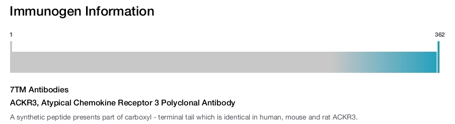 ACKR3, Atypical Chemokine Receptor 3 Polyclonal Antibody