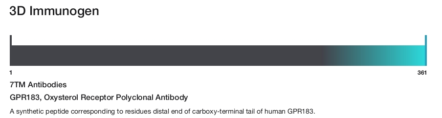 GPR183, Oxysterol Receptor Polyclonal Antibody