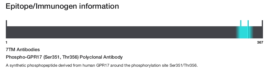 Phospho-GPR17 (Ser351, Thr356) Polyclonal Antibody