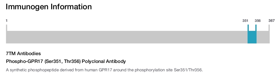 Phospho-GPR17 (Ser351, Thr356) Polyclonal Antibody