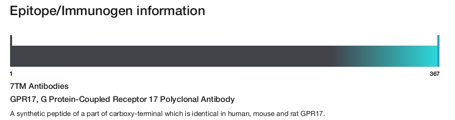 GPR17, G Protein-Coupled Receptor 17 Polyclonal Antibody