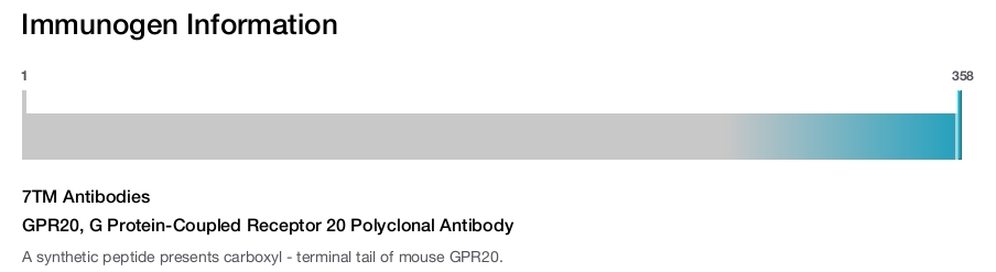 GPR20, G Protein-Coupled Receptor 20 Polyclonal Antibody