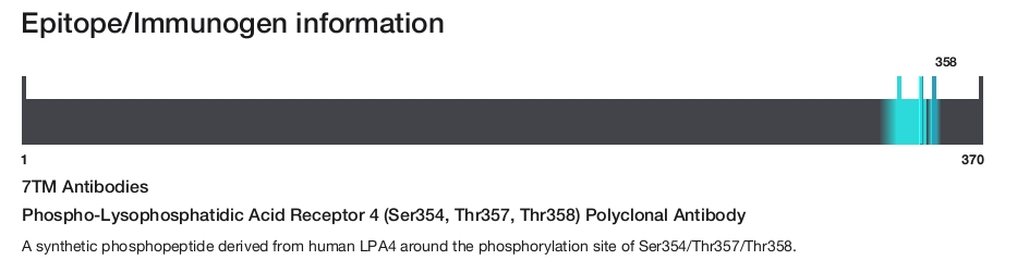 Phospho-Lysophosphatidic Acid Receptor 4 (Ser354, Thr357, Thr358) Polyclonal Antibody