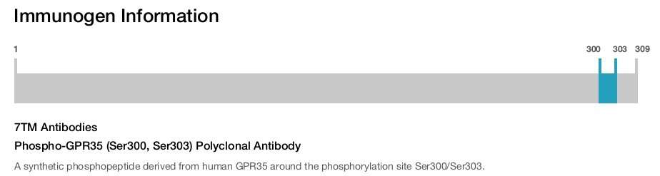 Phospho-GPR35 (Ser300, Ser303) Polyclonal Antibody