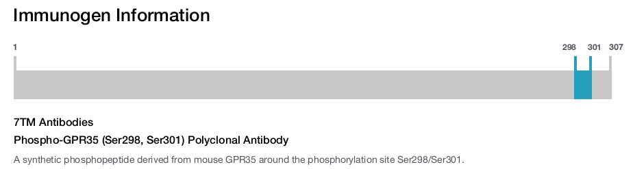 Phospho-GPR35 (Ser298, Ser301) Polyclonal Antibody