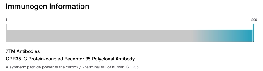 GPR35, G Protein-coupled Receptor 35 Polyclonal Antibody