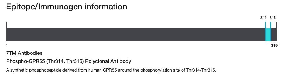 Phospho-GPR55 (Thr314, Thr315) Polyclonal Antibody