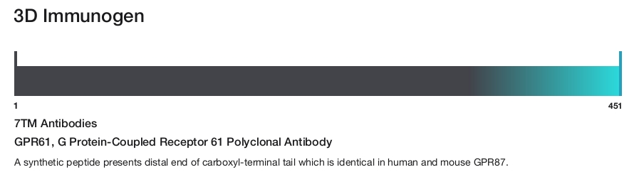 GPR61, G Protein-Coupled Receptor 61 Polyclonal Antibody