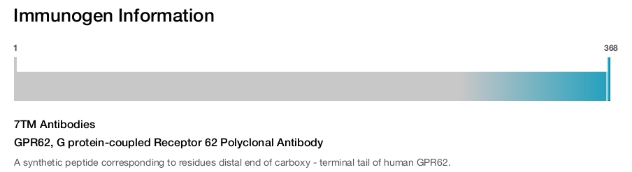 GPR62, G protein-coupled Receptor 62 Polyclonal Antibody