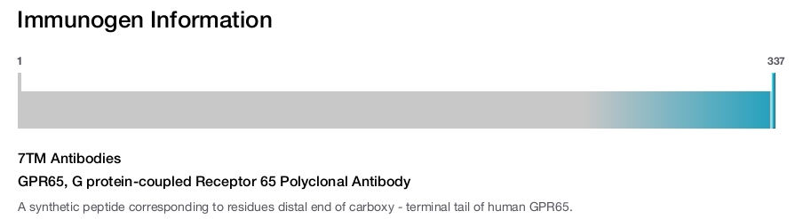 GPR65, G protein-coupled Receptor 65 Polyclonal Antibody