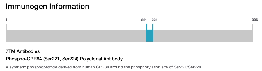 Phospho-GPR84 (Ser221, Ser224) Polyclonal Antibody