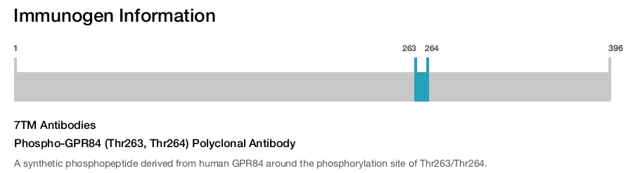 Phospho-GPR84 (Thr263, Thr264) Polyclonal Antibody