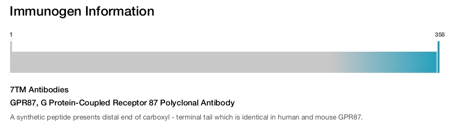 GPR87, G Protein-Coupled Receptor 87 Polyclonal Antibody