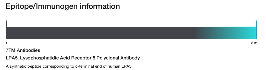 LPA5, Lysophosphatidic Acid Receptor 5 Polyclonal Antibody