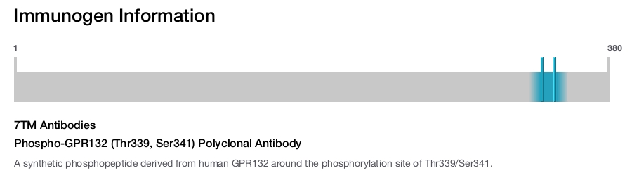 Phospho-GPR132 (Thr339, Ser341) Polyclonal Antibody