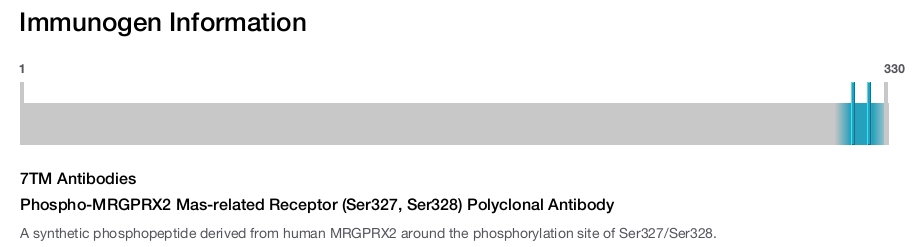 Phospho-MRGPRX2 Mas-related Receptor (Ser327, Ser328) Polyclonal Antibody