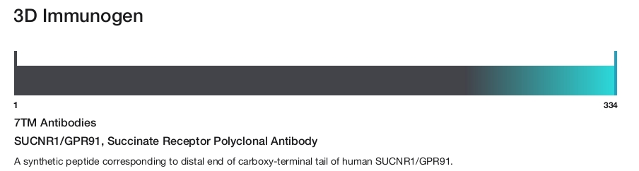 SUCNR1/GPR91, Succinate Receptor Polyclonal Antibody