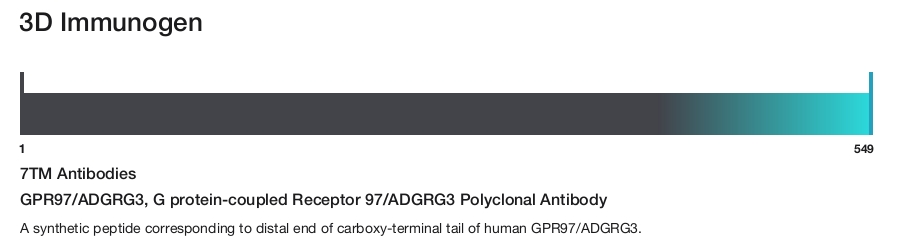 GPR97/ADGRG3, G protein-coupled Receptor 97/ADGRG3 Polyclonal Antibody