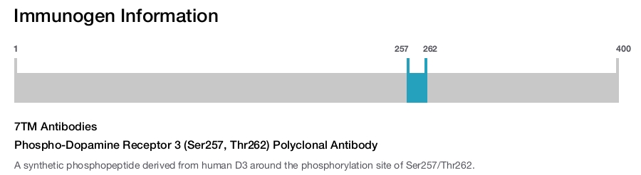 Phospho-Dopamine Receptor 3 (Ser257, Thr262) Polyclonal Antibody