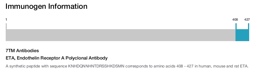 ETA, Endothelin Receptor A Polyclonal Antibody