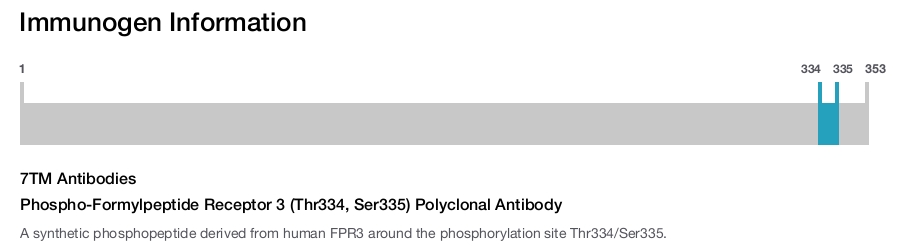 Phospho-Formylpeptide Receptor 3 (Thr334, Ser335) Polyclonal Antibody