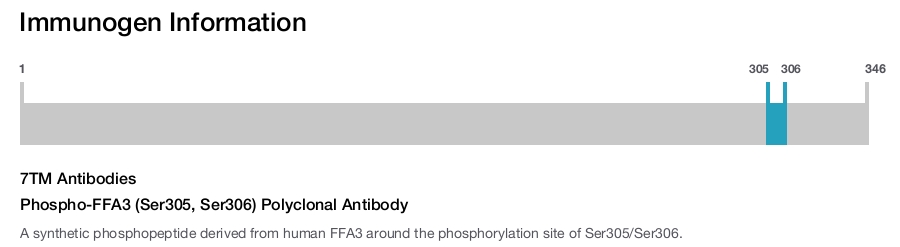 Phospho-FFA3 (Ser305, Ser306) Polyclonal Antibody
