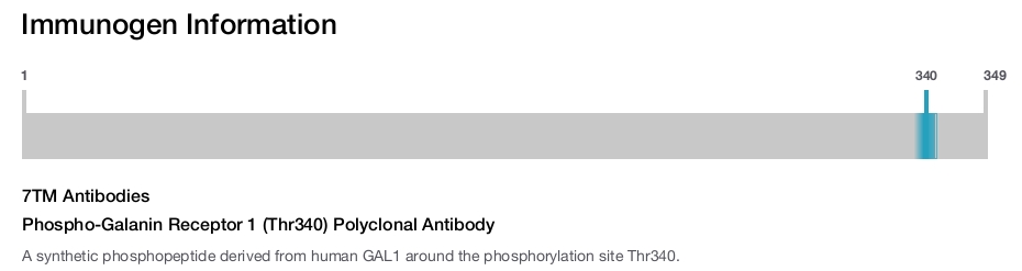 Phospho-Galanin Receptor 1 (Thr340) Polyclonal Antibody