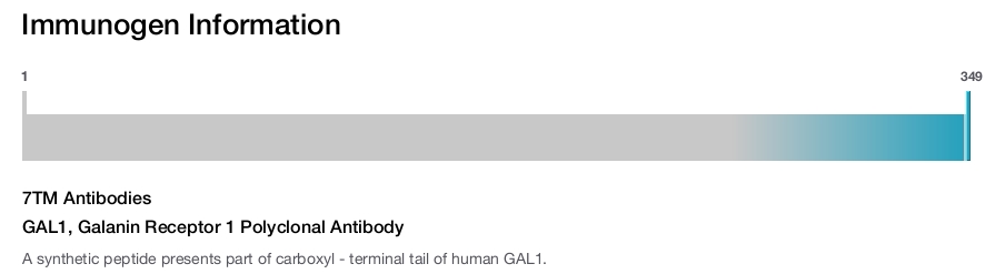 GAL1, Galanin Receptor 1 Polyclonal Antibody