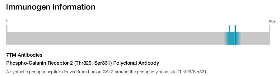 Phospho-Galanin Receptor 2 (Thr329, Ser331) Polyclonal Antibody