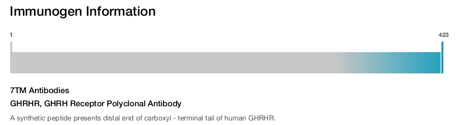 GHRHR, GHRH Receptor Polyclonal Antibody