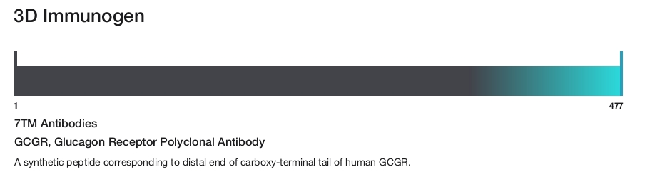 GCGR, Glucagon Receptor Polyclonal Antibody