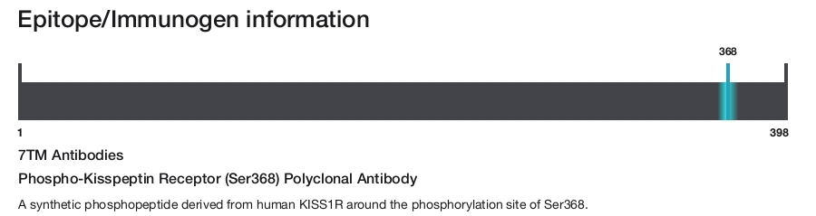 Phospho-Kisspeptin Receptor (Ser368) Polyclonal Antibody