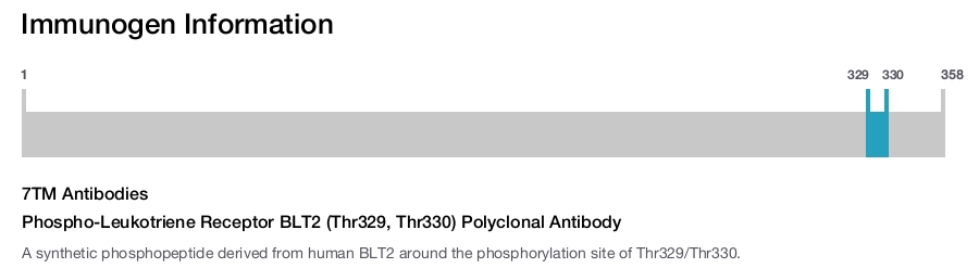 Phospho-Leukotriene Receptor BLT2 (Thr329, Thr330) Polyclonal Antibody