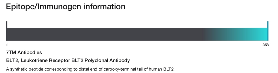 BLT2, Leukotriene Receptor BLT2 Polyclonal Antibody