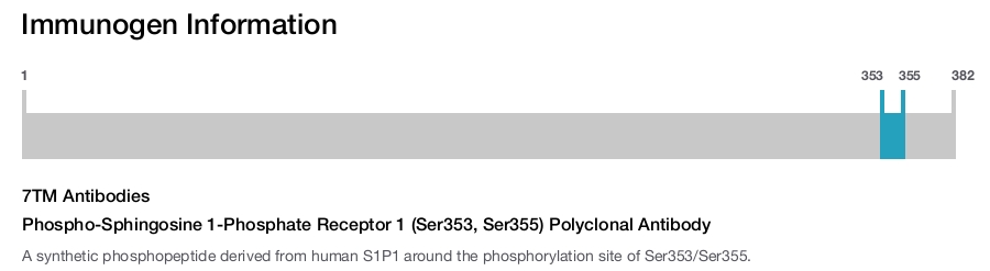 Phospho-Sphingosine 1-Phosphate Receptor 1 (Ser353, Ser355) Polyclonal Antibody