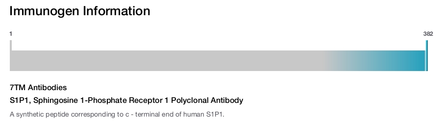 S1P1, Sphingosine 1-Phosphate Receptor 1 Polyclonal Antibody
