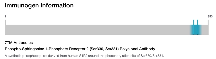 Phospho-Sphingosine 1-Phosphate Receptor 2 (Ser330, Ser331) Polyclonal Antibody