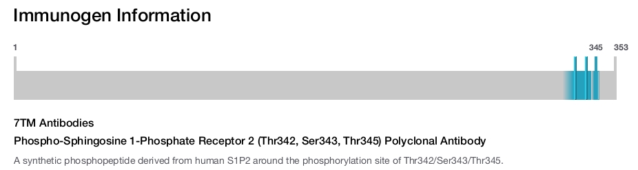 Phospho-Sphingosine 1-Phosphate Receptor 2 (Thr342, Ser343, Thr345) Polyclonal Antibody