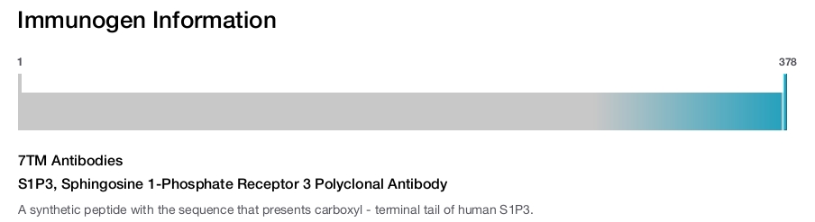 S1P3, Sphingosine 1-Phosphate Receptor 3 Polyclonal Antibody