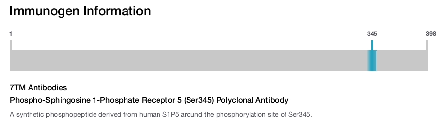 Phospho-Sphingosine 1-Phosphate Receptor 5 (Ser345) Polyclonal Antibody