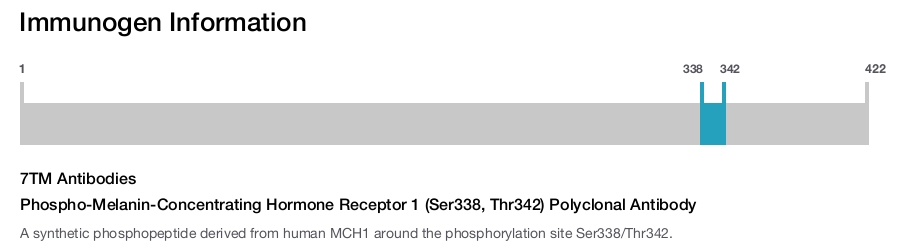 Phospho-Melanin-Concentrating Hormone Receptor 1 (Ser338, Thr342) Polyclonal Antibody