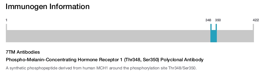 Phospho-Melanin-Concentrating Hormone Receptor 1 (Thr348, Ser350) Polyclonal Antibody